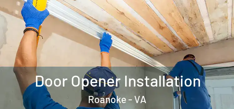 Door Opener Installation Roanoke - VA