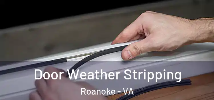  Door Weather Stripping Roanoke - VA