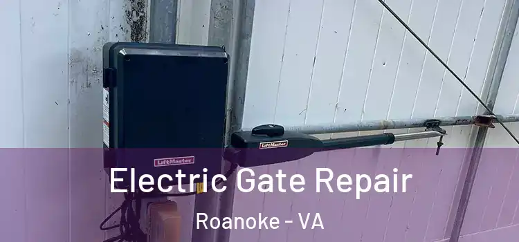  Electric Gate Repair Roanoke - VA