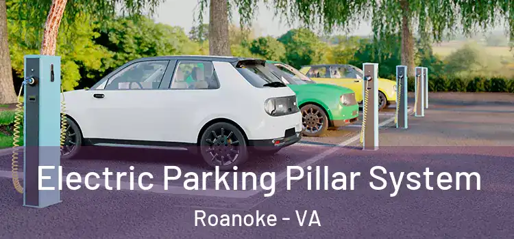  Electric Parking Pillar System Roanoke - VA