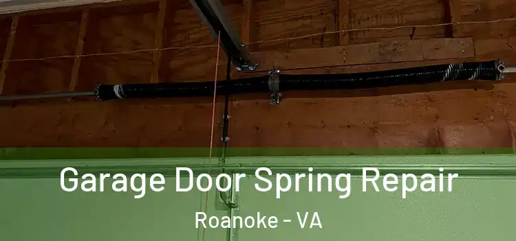  Garage Door Spring Repair Roanoke - VA