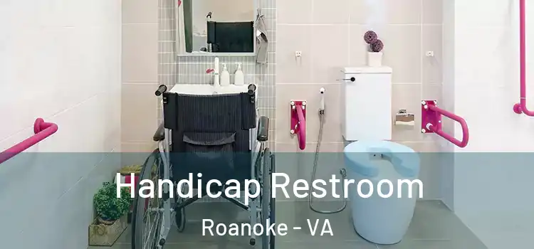  Handicap Restroom Roanoke - VA