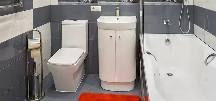 Hansgrohe Shaving Mirror Roanoke
