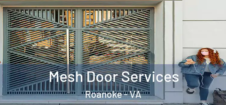  Mesh Door Services Roanoke - VA