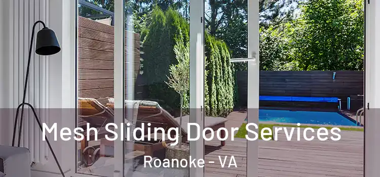  Mesh Sliding Door Services Roanoke - VA