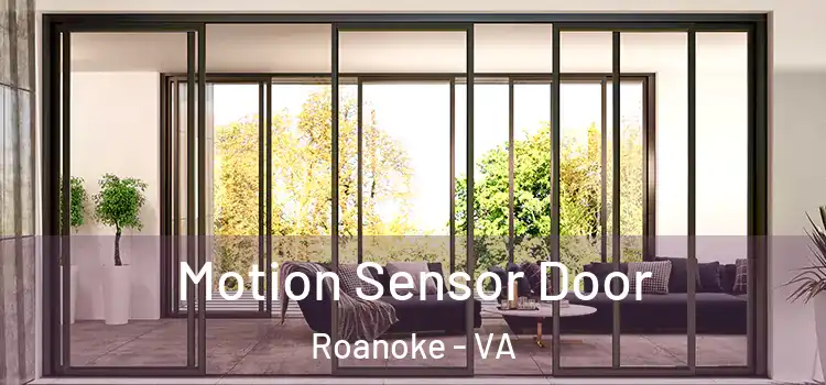 Motion Sensor Door Roanoke - VA