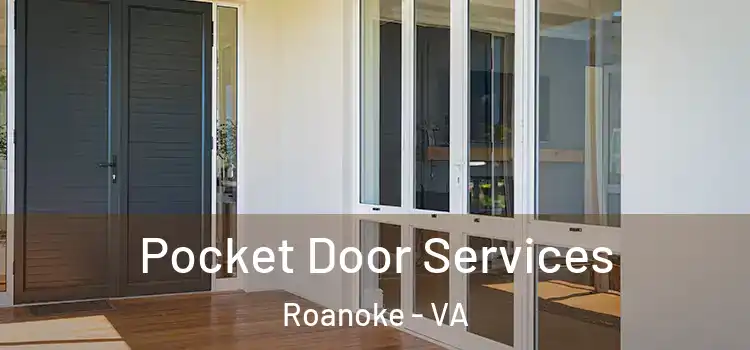  Pocket Door Services Roanoke - VA