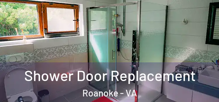  Shower Door Replacement Roanoke - VA