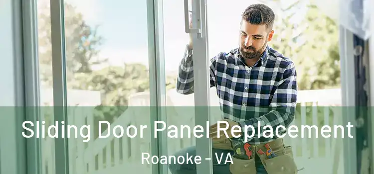  Sliding Door Panel Replacement Roanoke - VA