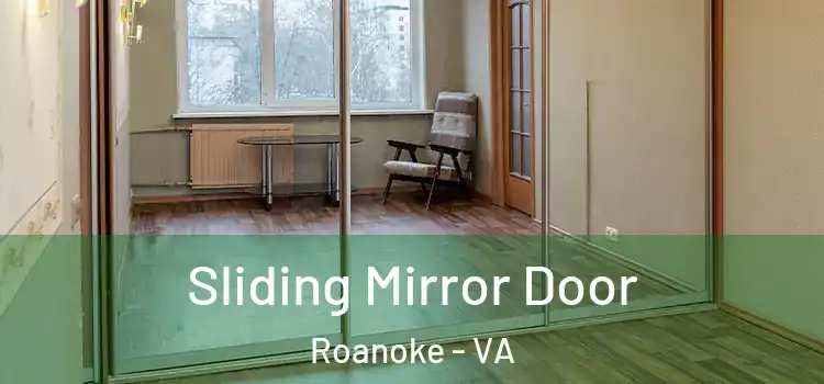  Sliding Mirror Door Roanoke - VA