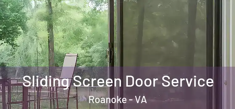  Sliding Screen Door Service Roanoke - VA